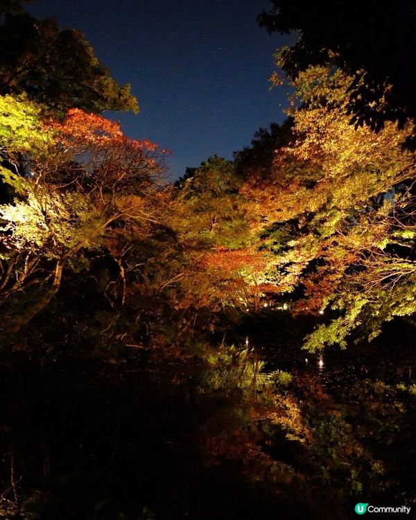 東京必去紅葉景點推介4️⃣六義園