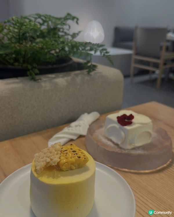 ▫️深圳清新簡約甜品店 🎋茶餅嚼時香透齒🍰