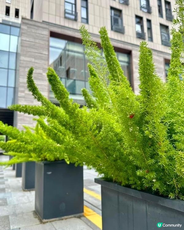 好逛的深業上城