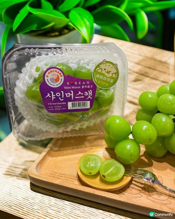 貓🐱提子🍇？