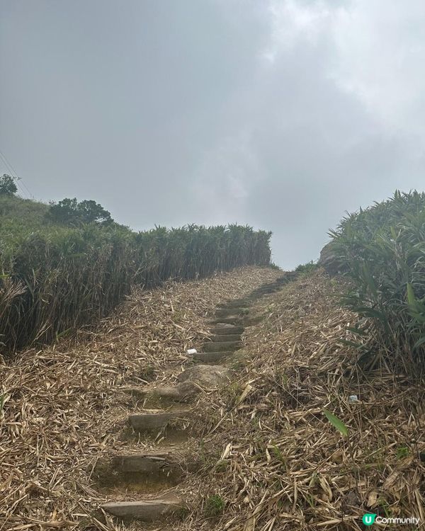 香港百登 2023-2024｜第3回｜飛鵝山 + 象山 + 東山 + 東洋山 + 大老山