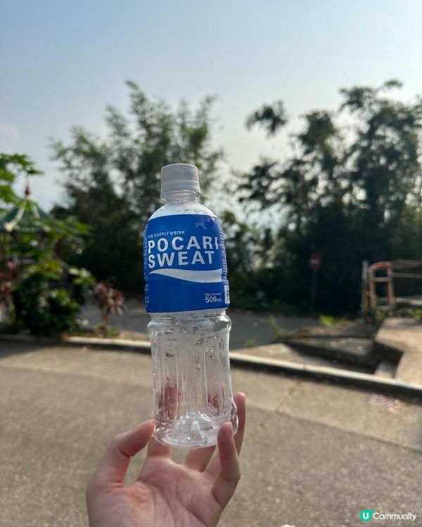 香港百登 2023-2024｜第3回｜飛鵝山 + 象山 + 東山 + 東洋山 + 大老山