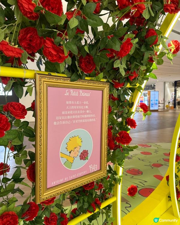 上次去深圳揀左去深業上城，去到先知有小王子80週年華南首展