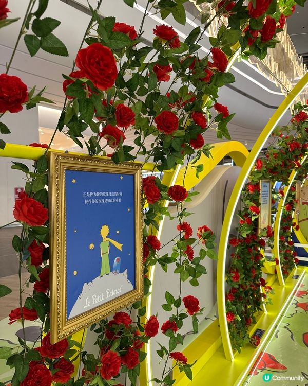 上次去深圳揀左去深業上城，去到先知有小王子80週年華南首展