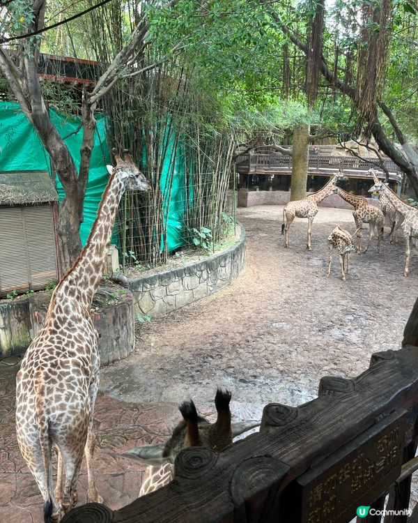 長鹿農莊旅行團