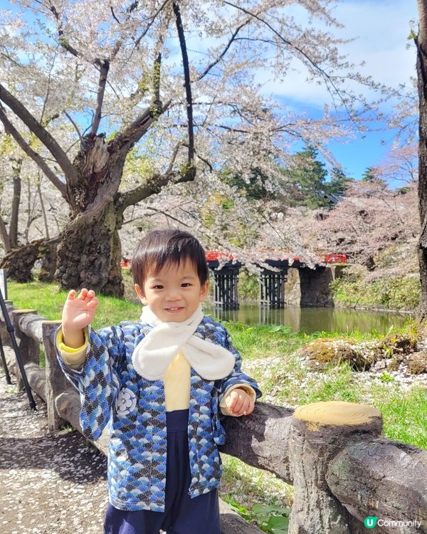 幸運遇上櫻吹雪