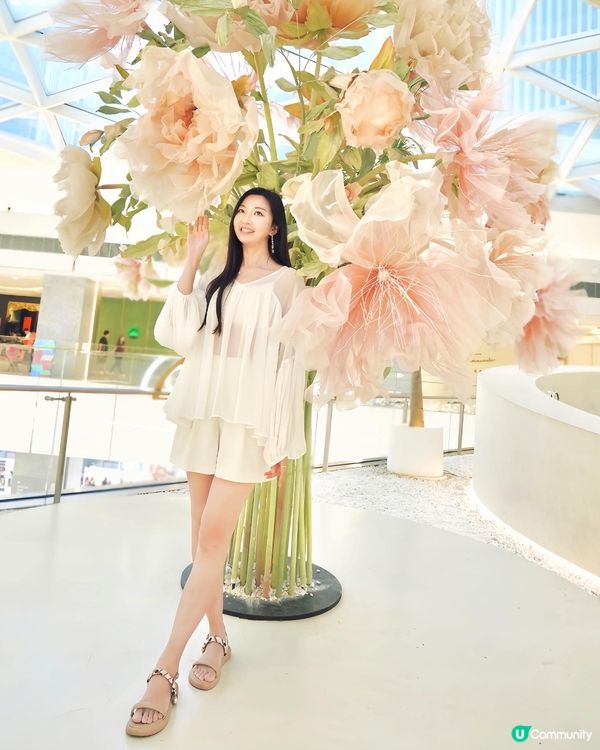 深圳🌸花廚🌸生活店