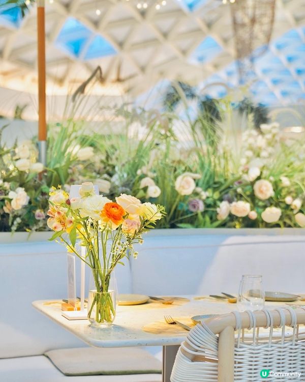 深圳🌸花廚🌸生活店