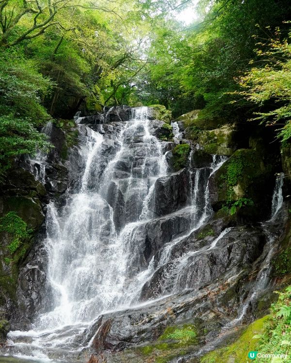 【被大自然包圍，夏天乘涼的休閒場所】