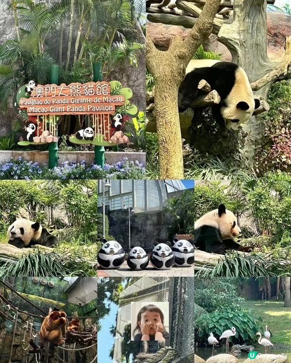 澳門假日好去處