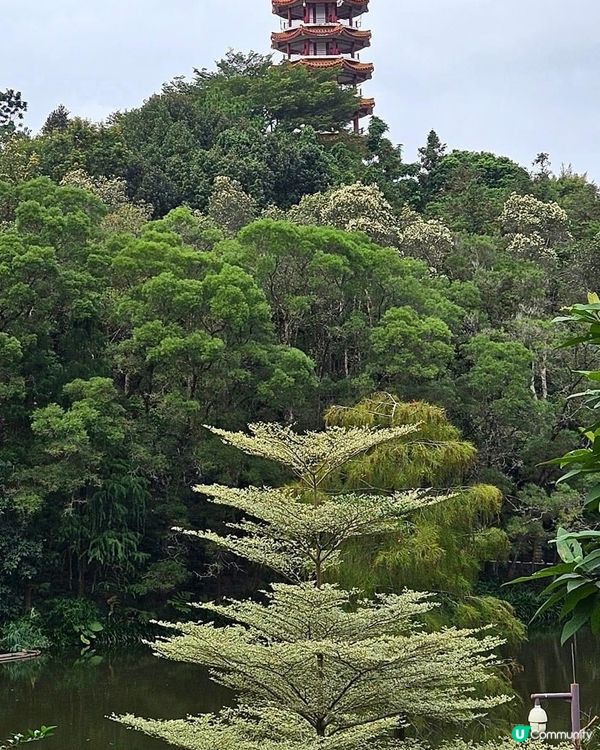 風景優美的桫欏湖