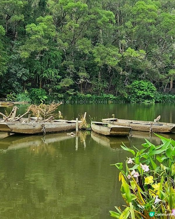 風景優美的桫欏湖