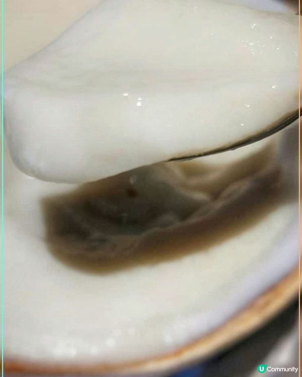 椰皇鮮奶燉蛋白