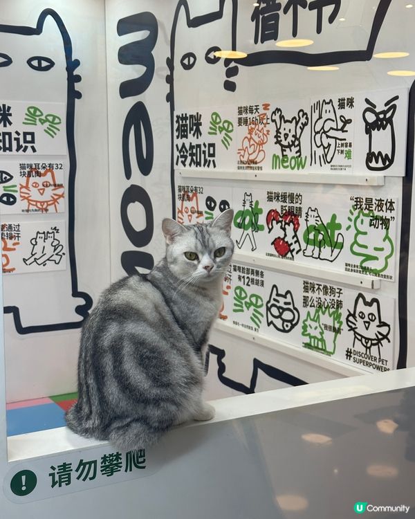 深圳 - 超能貓空間