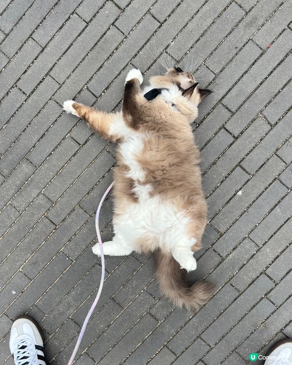 一出街就Lur地