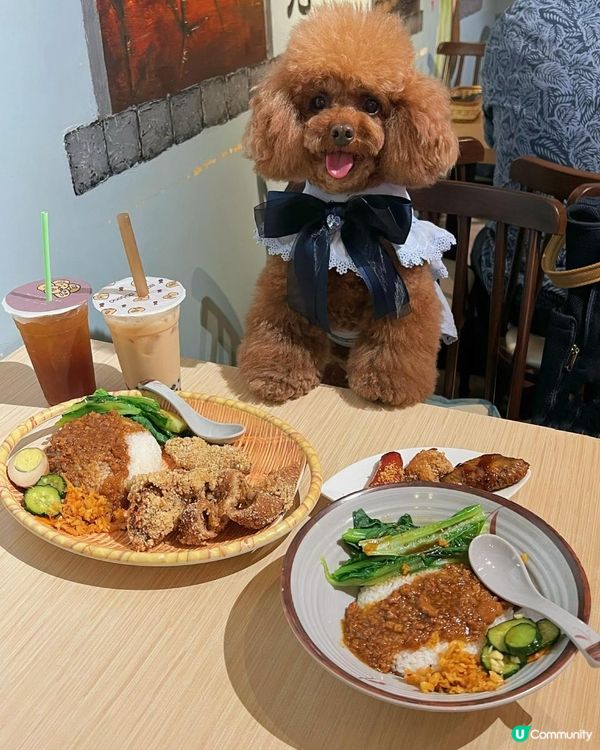 [寵物友善]觀塘正宗台灣餐廳🍛