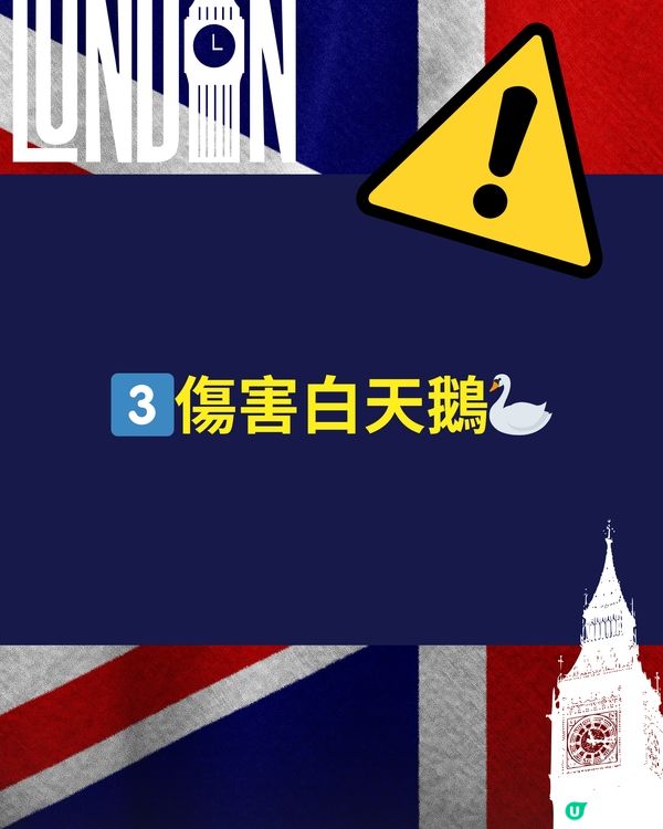 🇬🇧英國旅遊禁忌⚠️傷害呢種動物隨時坐半年監😱