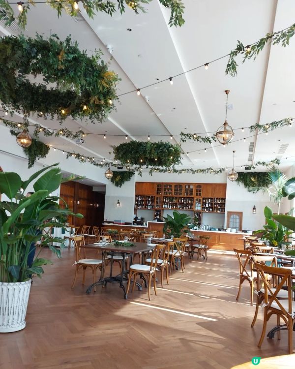 推介超高質的午餐