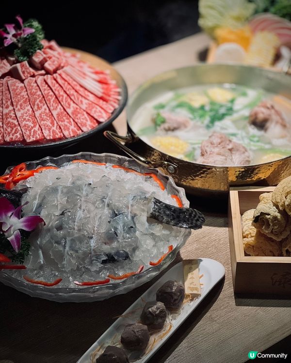 無敵火鍋套餐！刺身、生腌龍蝦、象拔蚌、重慶雞煲、沙巴躉….！