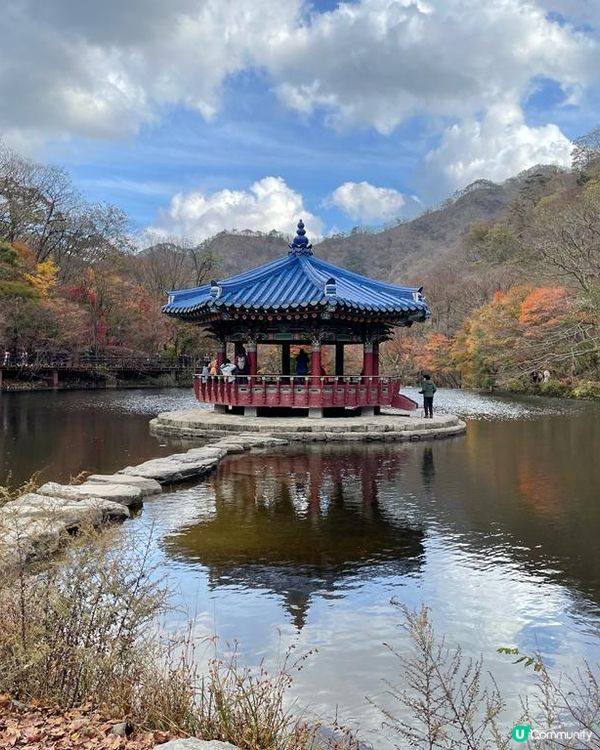 睇紅葉 - 南韓篇