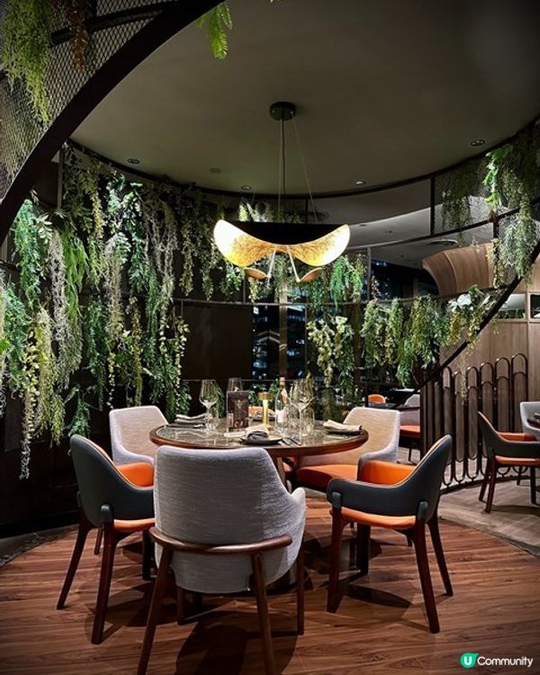 𝐀𝐈𝐑𝐒𝐈𝐃𝐄 「嵐月」靚景摩登新派廣東菜