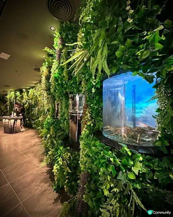 𝐀𝐈𝐑𝐒𝐈𝐃𝐄 「嵐月」靚景摩登新派廣東菜