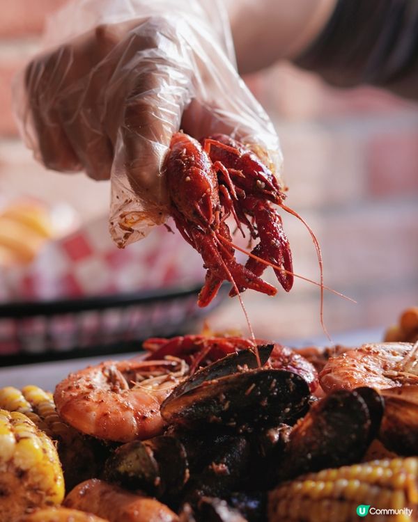 GRACELAND豐盛海鮮brunch