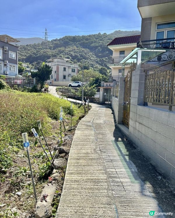 大埔行山｜梧桐寨瀑布群｜4小時中級遠足路線💦