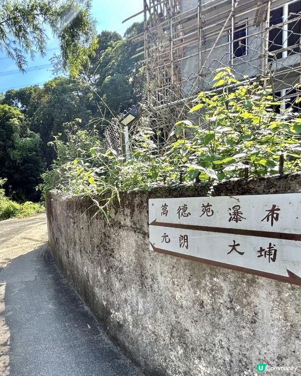 大埔行山｜梧桐寨瀑布群｜4小時中級遠足路線💦