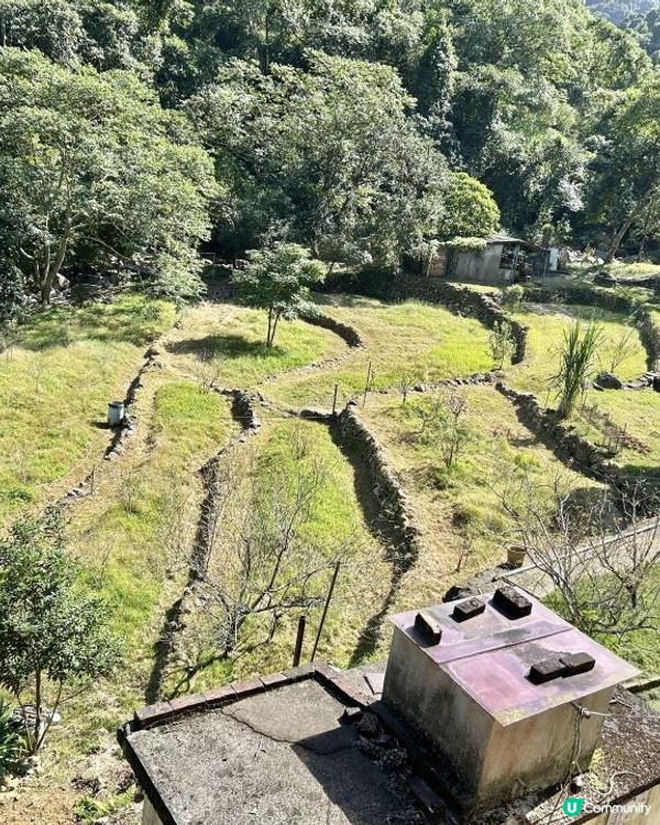 大埔行山｜梧桐寨瀑布群｜4小時中級遠足路線💦