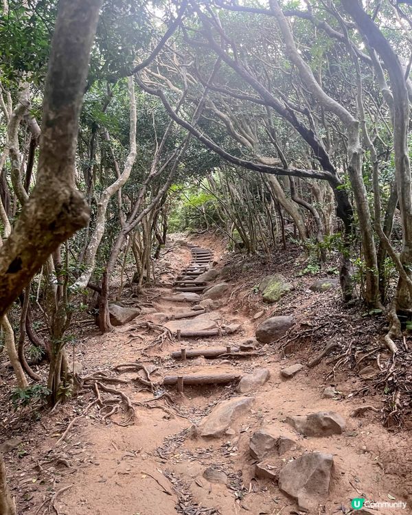 【大自然造就的糸島秘景】