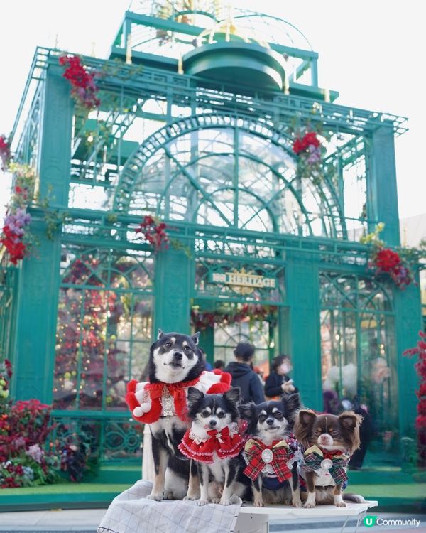 𝟷𝟾𝟾𝟷✨🎄