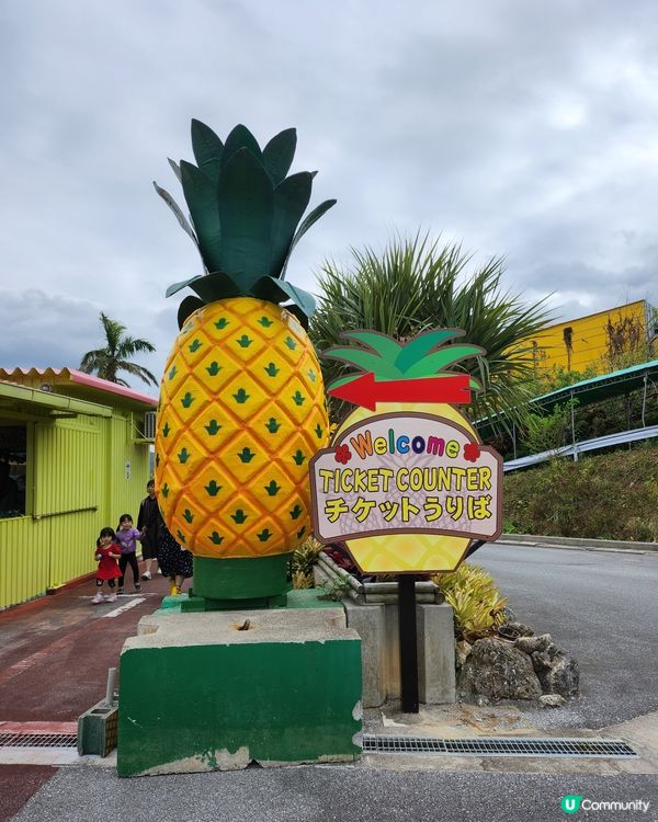 Nago Pineapple Park 🍍
