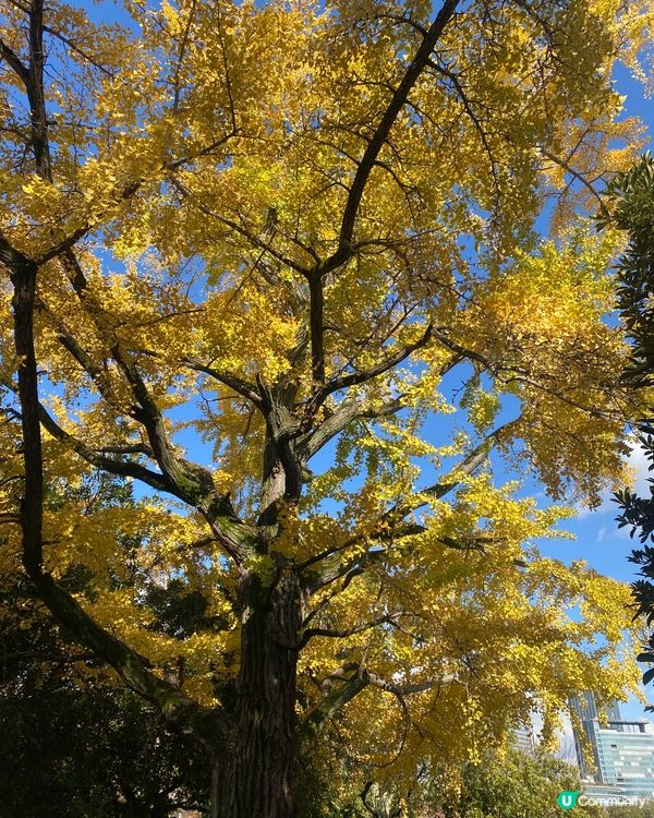 大阪城公園
