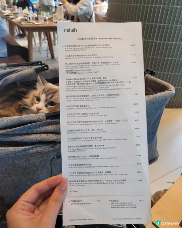 [美食]Relish Kitchen by ALOT 品味城市中的寵物友善餐廳