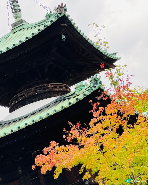 藤田邸跡公園。 紅葉🍁🍁