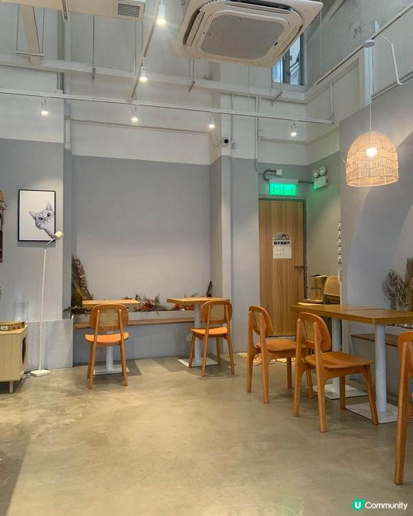 長沙灣必去cafe推介! 台灣系小清新 x 寵物有善！哈欠