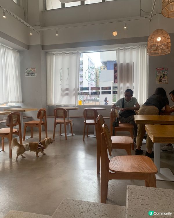 長沙灣必去cafe推介! 台灣系小清新 x 寵物有善！哈欠