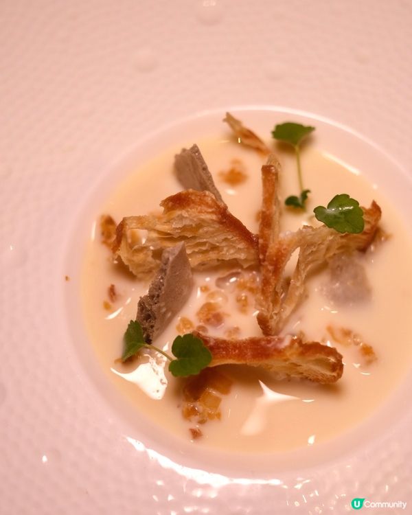 精緻現代素食新體驗