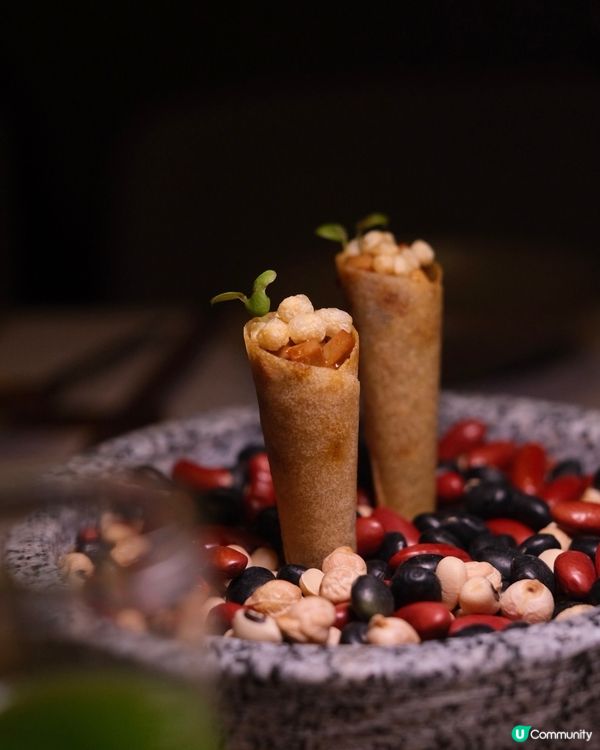 精緻現代素食新體驗