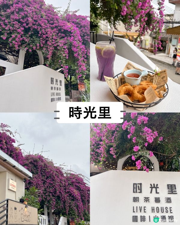 1分鐘睇晒‼️大鵬打卡cafe餐廳合集✨✨