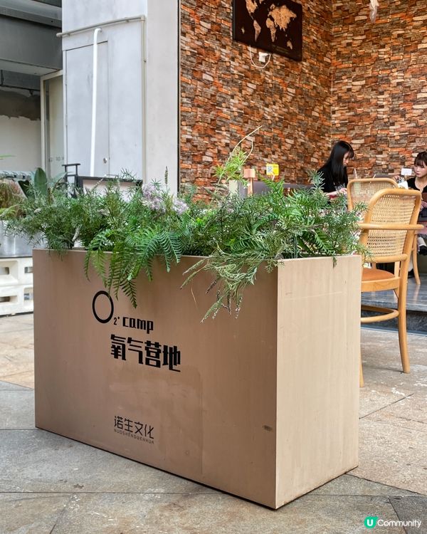 【深圳好去處】這家酒吧太適合打卡了吧！