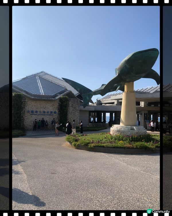 沖繩必到景點🐋美麗海水族館