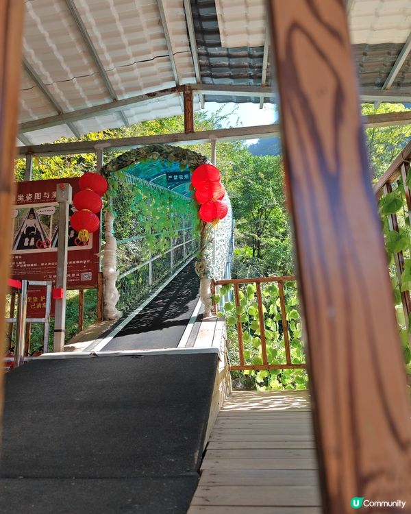 廣東峽天下400公尺懸空玻璃吊橋震憾面世