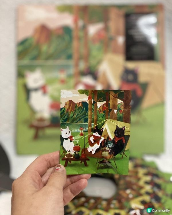 🐱勁得意聖誕貓貓茶包