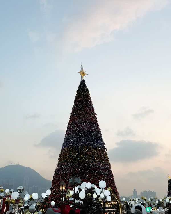 野餐好地方✨🌿🎄滿滿的聖誕休閑氛圍
