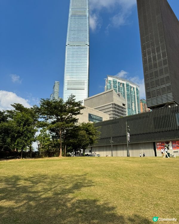 野餐好地方✨🌿🎄滿滿的聖誕休閑氛圍