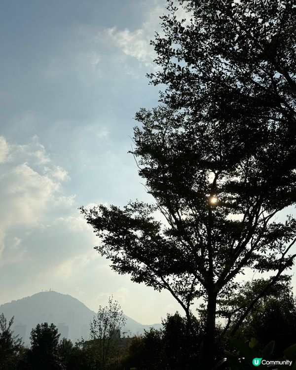 野餐好地方✨🌿🎄滿滿的聖誕休閑氛圍