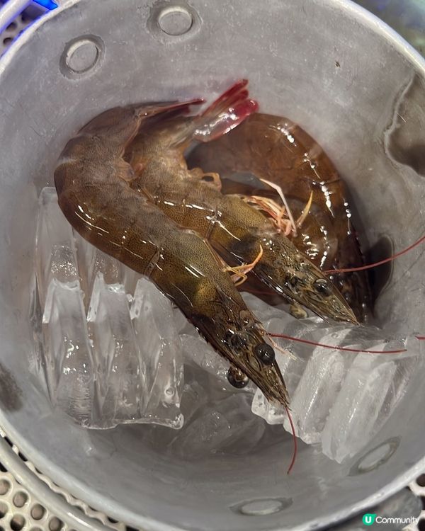 【$268泰式火鍋放題】牛小排x黑豚x串燒x流水蝦！