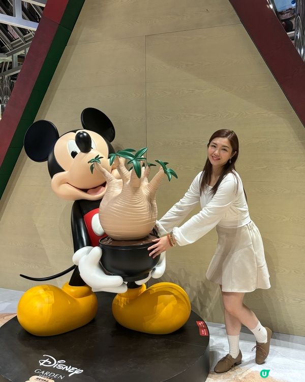 太古城Disney 聖誕打卡💕